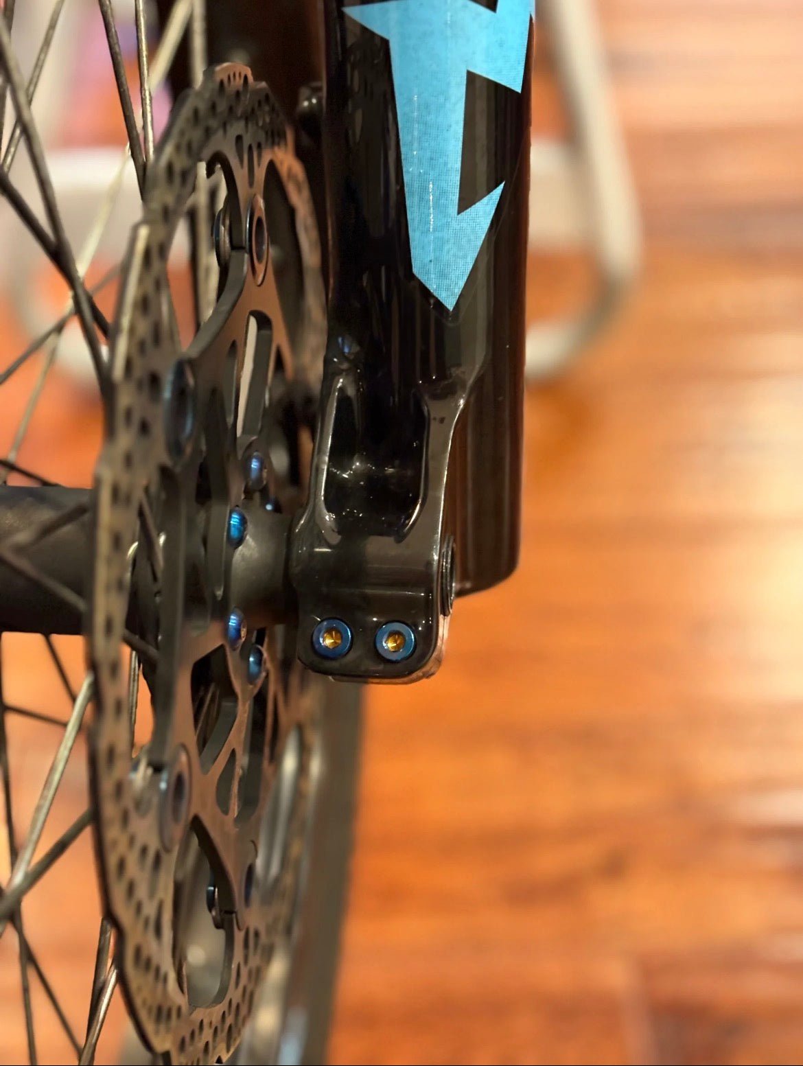 Pinch Bolt (Set Of 4) - FT Racing